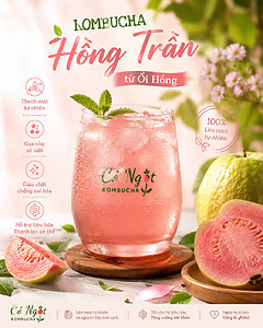 NƯỚC KOMBUCHA HỒNG TRẦN VỊ ỔI HỒNG NHÀ CỎ NGỌT 1000ml – THANH MÁT TỰ NHIÊN, TƯƠI MỚI MỖI NGÀY