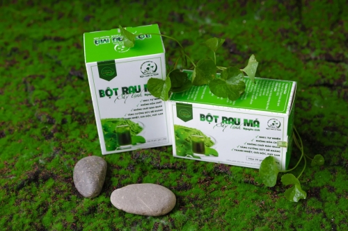 BỘT RAU MÁ SẤY LẠNH NGUYÊN CHẤT NGỌC XANH XỨ THANH