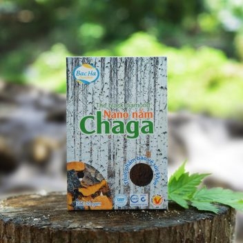 Thực phẩm bảo vệ sức khỏe Nano Nấm Chaga – The Black Diamond