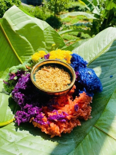 Xôi nếp nương Mường Khương Lào Cai (500g)