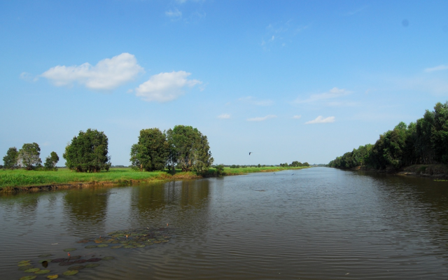 Về thăm Vườn quốc gia Tràm Chim - "Đồng Tháp Mười thu nhỏ"