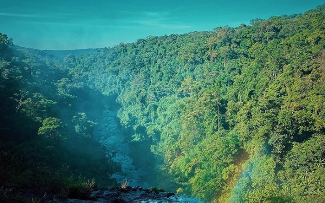 Khu bảo tồn thiên nhiên Kon Chư Răng - viên ngọc quý của đại ngàn Tây Nguyên