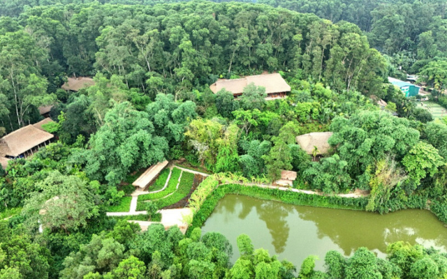 Khu bảo tồn làng nhà sàn dân tộc sinh thái Thái Hải - Điểm đến hấp dẫn