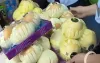 Lê Hàn Quốc bị giả mạo nguồn gốc xuất xứ tràn lan trên thị trường thành phố Hà Nội