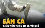 Săn cá vồ chó thu tiền triệu ở Cà Mau