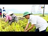 Phù Yên phát huy lợi thế 4 tiểu vùng kinh tế