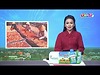 Nghề làm tôm khô Cà Mau là Di sản Văn hóa phi vật thể quốc gia