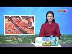 Nghề làm tôm khô Cà Mau là Di sản Văn hóa phi vật thể quốc gia