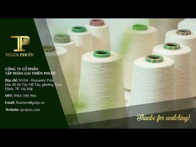 Thiên Phước: Bứt Phá Với Gai Xanh AP1 - Hành Trình Xây Dựng Chuỗi Giá Trị Xanh Tại Việt Nam